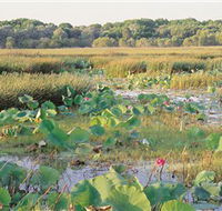 Fogg Dam Conservation Reserve - Nambucca Heads Accommodation