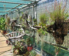 George Brown Darwin Botanic Gardens - Nambucca Heads Accommodation 5