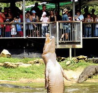 Crocodylus Park - Nambucca Heads Accommodation