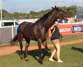 Darwin Turf Club - Nambucca Heads Accommodation 2