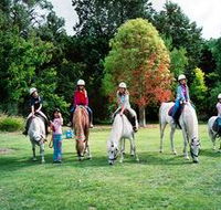 Limestone Coast Horseriding - Nambucca Heads Accommodation