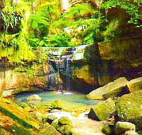 Carnarvon Gorge Carnarvon National Park - Nambucca Heads Accommodation