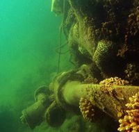 Wreck Diving at Magnetic Island - Nambucca Heads Accommodation
