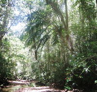 Mount Lewis National Park - Nambucca Heads Accommodation
