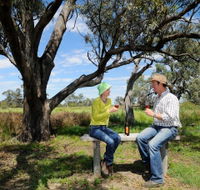 Restdown Wines and Walking Trail - Nambucca Heads Accommodation