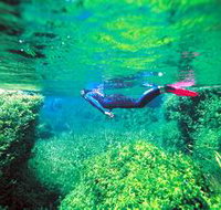 Piccaninnie Ponds Conservation Park - Nambucca Heads Accommodation