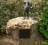 Dingo Statue - Nambucca Heads Accommodation