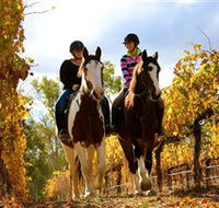 Billabong Ranch - Nambucca Heads Accommodation