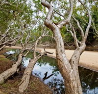 Oyala Thumotang National Park CYPAL - Nambucca Heads Accommodation