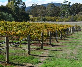 Mountainside Wines - Nambucca Heads Accommodation 1