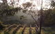 Mountainside Wines - thumb 3