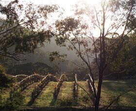 Mountainside Wines - Nambucca Heads Accommodation 3