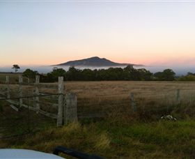 Mountainside Wines - Nambucca Heads Accommodation 2
