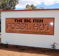 Big Fish Fossil Hut at Peak Hill - Nambucca Heads Accommodation