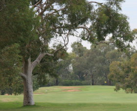 Tocumwal Golf Club - Nambucca Heads Accommodation 2