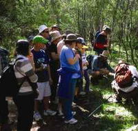 Warrumbungle National Park Discovery Program - Nambucca Heads Accommodation