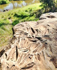 Terramungamine Rock Grooves - Nambucca Heads Accommodation 0