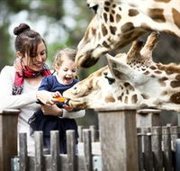 Taronga Western Plains Zoo Dubbo - Nambucca Heads Accommodation