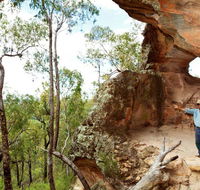 Pilliga National Park - Nambucca Heads Accommodation
