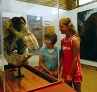 Australian Museum Diprotodon Exhibition - Nambucca Heads Accommodation