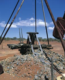 Paynes Find ACT Nambucca Heads Accommodation