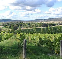 Sassy Wines - Nambucca Heads Accommodation
