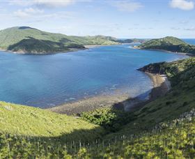 The Cremer Shipwreck Dive Site - Keswick Island - Nambucca Heads Accommodation 0