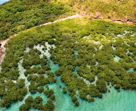 The Singapore Shipwreck Dive Site - Keswick Island - Nambucca Heads Accommodation 0