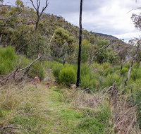 Lynchs loop trail - Nambucca Heads Accommodation