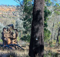 Eualdrie walking track - Nambucca Heads Accommodation