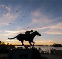 Black Caviar Statue - Nambucca Heads Accommodation