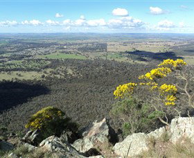 The Rock Nature Reserve - Nambucca Heads Accommodation 4