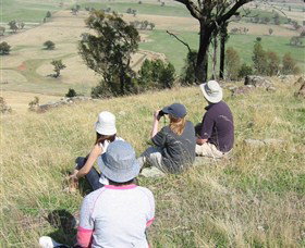 The Rock Nature Reserve - Nambucca Heads Accommodation 2