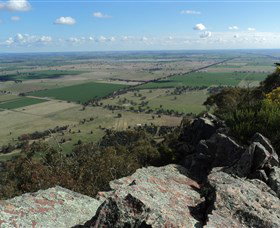 The Rock Nature Reserve - Nambucca Heads Accommodation 5