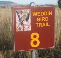 Weddin Bird Trails - Nambucca Heads Accommodation