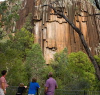 Sawn Rocks walking track - Nambucca Heads Accommodation