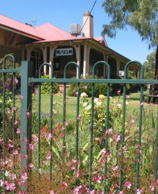 Dunedoo Local Museum - Nambucca Heads Accommodation 0