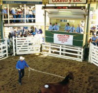 Gracemere Exhibition Complex - Nambucca Heads Accommodation