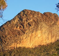 Kaputar scenic drive - Nambucca Heads Accommodation