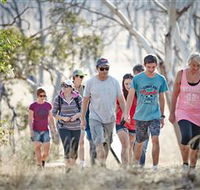 Winton Wetlands Reserve - Nambucca Heads Accommodation