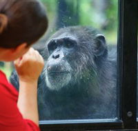 The Rockhampton Zoo - Nambucca Heads Accommodation
