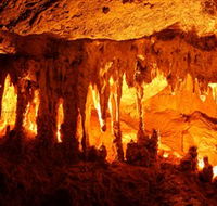 Capricorn Caves - Nambucca Heads Accommodation