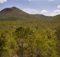 Kutini-Payamu Iron Range National Park CYPAL - Nambucca Heads Accommodation
