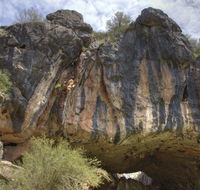 Borenore Karst Conservation Reserve - Nambucca Heads Accommodation