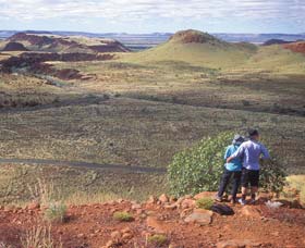 Mount Herbert - Nambucca Heads Accommodation 1