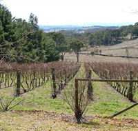 Habitat Vineyard - Nambucca Heads Accommodation