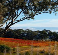 Bloodwood Estate - Nambucca Heads Accommodation