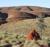 Camel Trail Millstream-Chichester National Park - Nambucca Heads Accommodation