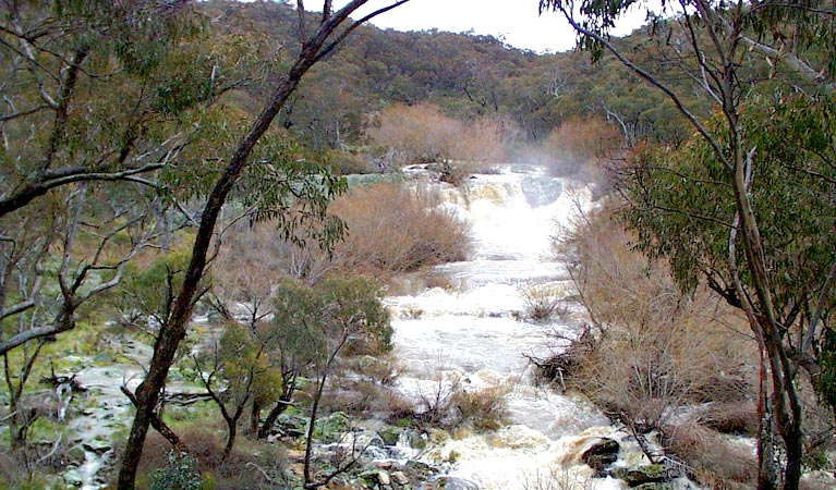 Summer Hill Creek NSW Nambucca Heads Accommodation