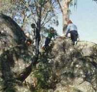 Mount Samaria State Park - Nambucca Heads Accommodation